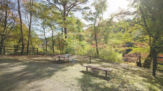 紅葉の名所 秋の鳴子峡の風景　Autumn scenery of Naruko Gorge, a famous spot for autumn foliage.
