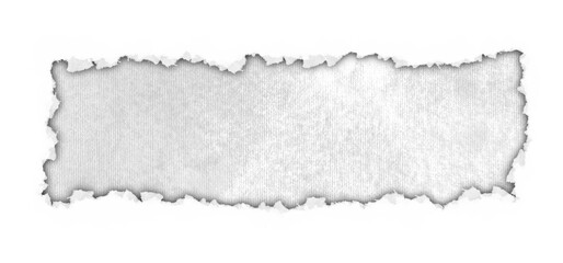 Fototapeta premium Ripped Paper Edge Gray Texture Banner