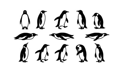 Modern Penguin Silhouette Set Black White Vector Illustration © MdSadhon