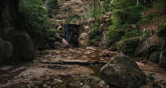 Small Waterfall Over Mossy Boulders in Forest Ravine In Japan - Wide, Tracking Shot