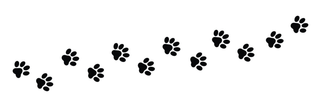Paw print vector set, dog and cat foot trail animal tracking and path illustration symbols for pet navigation design.