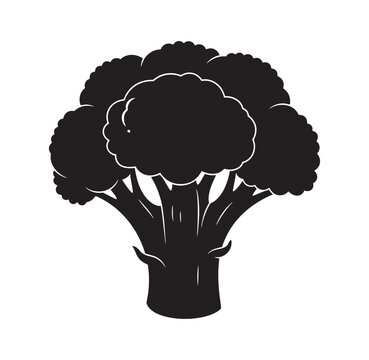 Black silhouette icon of a fresh broccoli head vegetable with broccoli vegetable silhouette nutrition ingredient vegetarian culinary minimalist isolated wellness