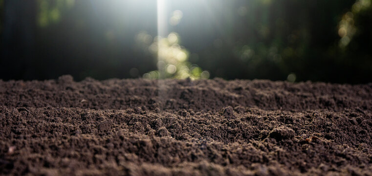 Agricultural field cultivated land. Soil for planting and farming. Compost and organic fertilizer.