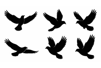 Fototapeta premium Flying Black Bird Silhouette Vector Set Six Dove Pigeon Wings Spread Freedom Flight Poses on White Background