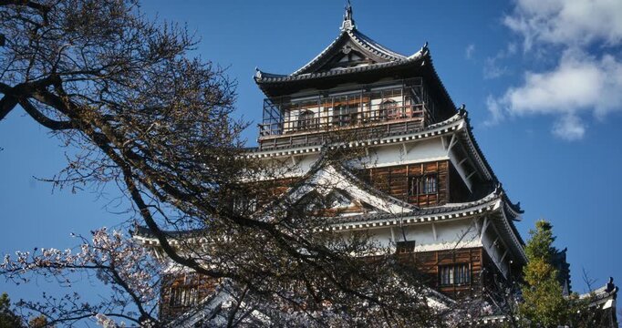 Ancient Hiroshima Castle Pagoda Tower Behind Cherry Blossom Trees - Low, Medium Shot