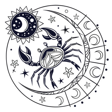 Mystical Celestial Zodiac Symbols Vector Pattern