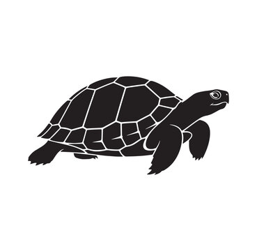 Black silhouette of a turtle walking isolated on white background with tortoise silhouette wildlife isolated minimalist creature terrapin wilderness backbone