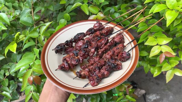 close up view of goat or beef satay served on a plate and holding by the hand. men, male, man. green leaves on the background. eid al adha, idul adha. sate kambing, sapi. indonesian food or culinary. 