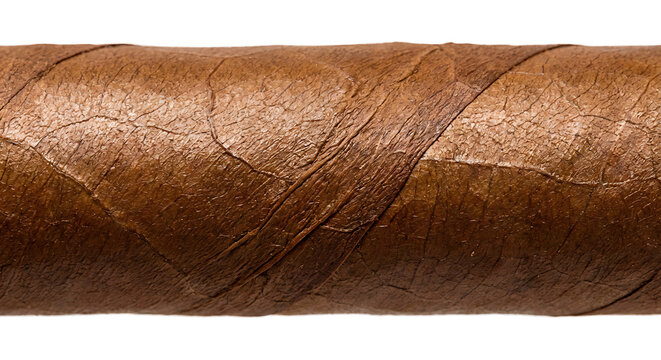 Macro of brown cigar tobacco leaf texture