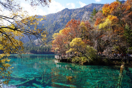 The breathtaking scenery of the crystal-clear turquoise lake with autumn colors at Jiuzhaigou National Park in Sichuan Province, China