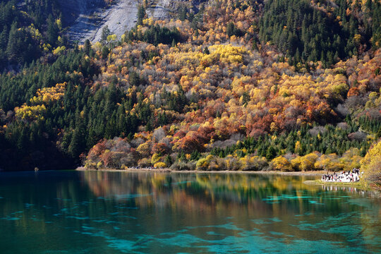The breathtaking scenery of the crystal-clear turquoise lake with autumn colors at Jiuzhaigou National Park in Sichuan Province, China