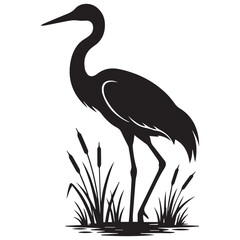 Obraz premium Silhouette of a standing heron bird in a wetland environment with reeds water bird watching
