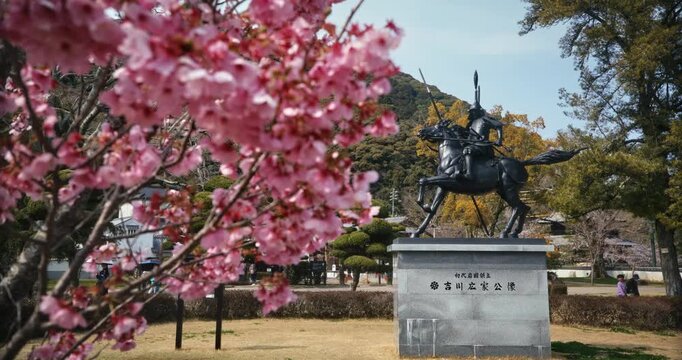 Cherry Blossom Tree Framing Old Samurai Statue in Japanese Park - Steady Cam 