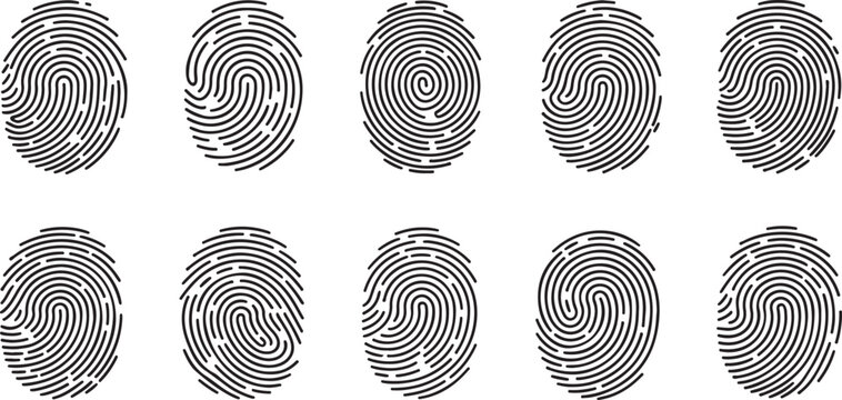 Set of fingerprint icons, collection of different human finger prints, biometric identification, security and identity concept, vector illustration