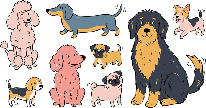 Set of cute cartoon dogs of different breeds including poodle, dachshund, pug, and beagle isolated on white background transparent background