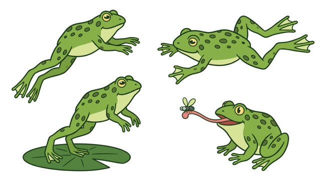 Green spotted frog drawing vector collection showing active amphibians leaping, sitting on a lily pad, and catching a flying insect with its long tongue isolated on white background.