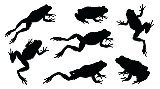 Solid black silhouette frog drawing vector collection featuring jumping, leaping, swimming and sitting poses of wild amphibians isolated on white background for nature graphic design.