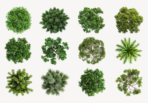 Twelve Diverse Tree Canopy Tops Element Design Set