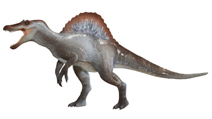 Realistic 3D rendering of a Spinosaurus dinosaur. © Ilie