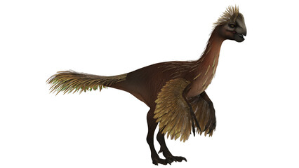 Illustration of a feathered dinosaur on a white background © Ilie