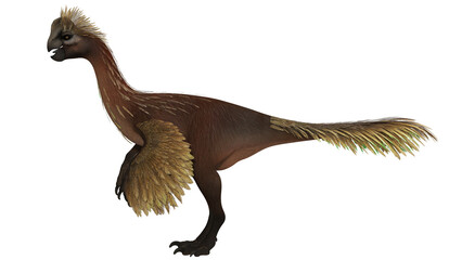 Feathered dinosaur illustration on white background. © Ilie