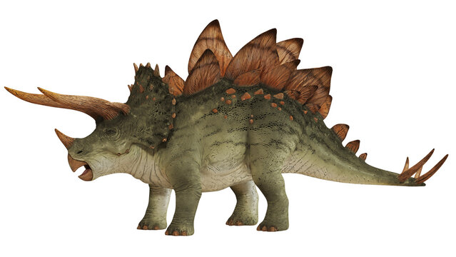 Realistic illustration of a spiked dinosaur.
