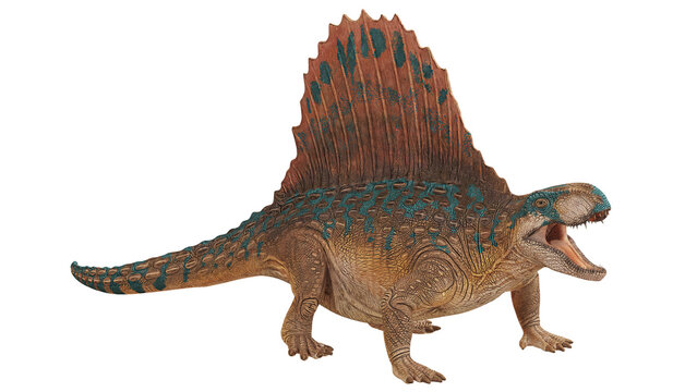 Realistic depiction of a Dimetrodon dinosaur