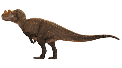 Majestic dinosaur on a white backdrop © Ilie