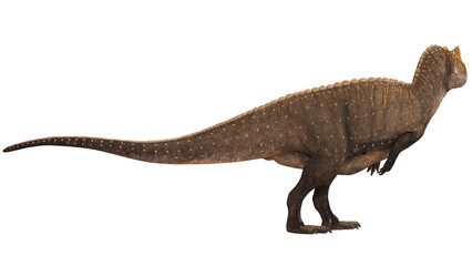 Majestic dinosaur profile view in natural pose © Ilie
