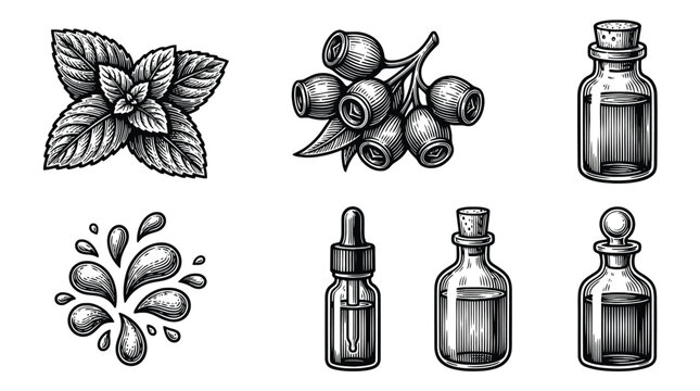 Vintage vector icons of skincare bottles and natural ingredients mint leaves fish.
