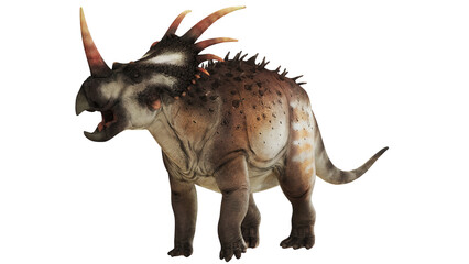 Majestic triceratops dinosaur roaring fiercely. © Ilie