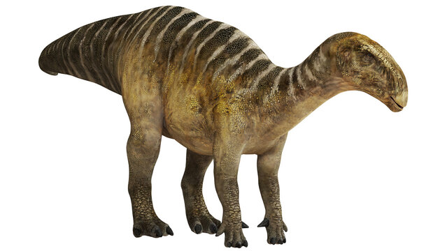 Detailed illustration of a Hadrosaur dinosaur.