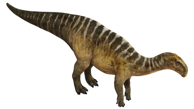 Illustration of an Iguanodon dinosaur