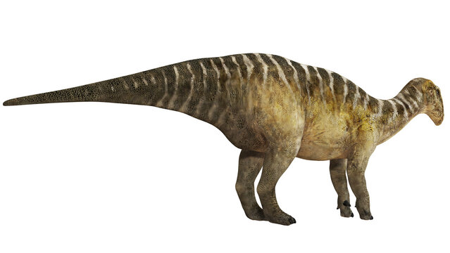 Realistic depiction of a Hadrosaur dinosaur.