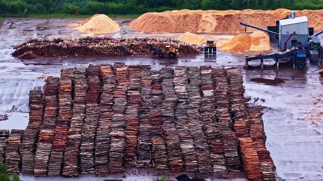 Timber piles and sawdust at Stora Enso Latvija Sawmill. Machinery organizes materials on a rainy day. Suitable for industrial or environmental documentaries.
