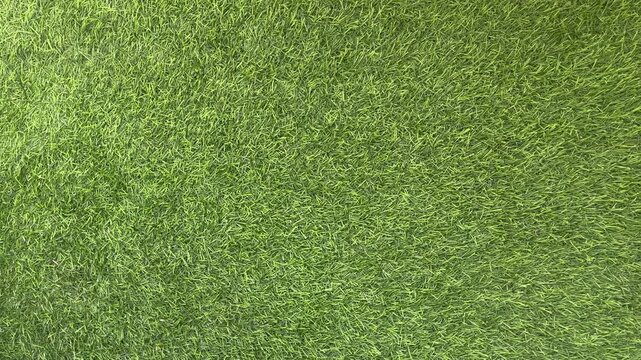 Top view of green carpet grass background, flat lay. high angle, above. copy space, empty, free, negative, text, design. 