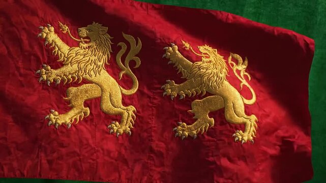 Historical flag of the duchy of aquitaine with two golden lions on a red background