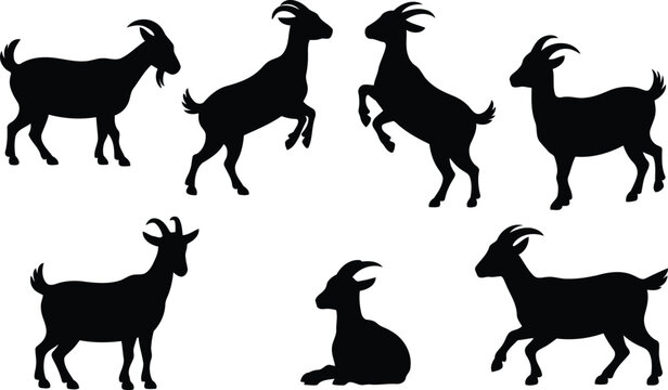 Black goat silhouettes in different poses