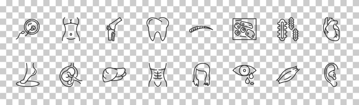 outline human body parts icons set - fertilization, female hips and waist, three bacteria, human ear. editable vector for web and mobile ui