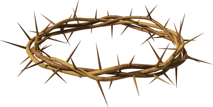 Crown of thorns vector illustration, featuring realistic religious symbol of Jesus Christ easter isolated object