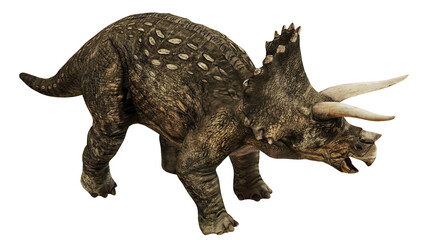 Realistic depiction of a triceratops dinosaur. © Ilie