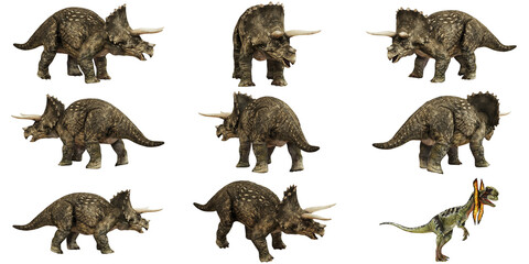 Triceratops models in various poses with a dinosaur. © Ilie