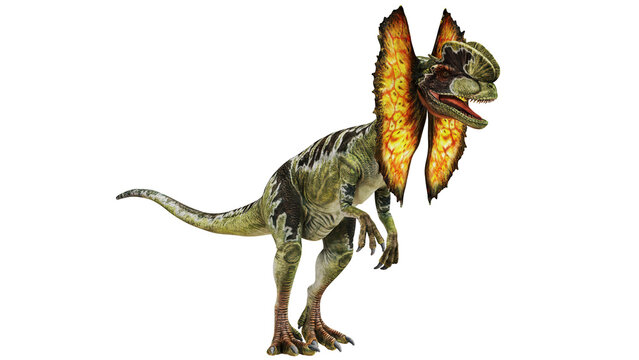 Dilophosaurus with vibrant frill detail.