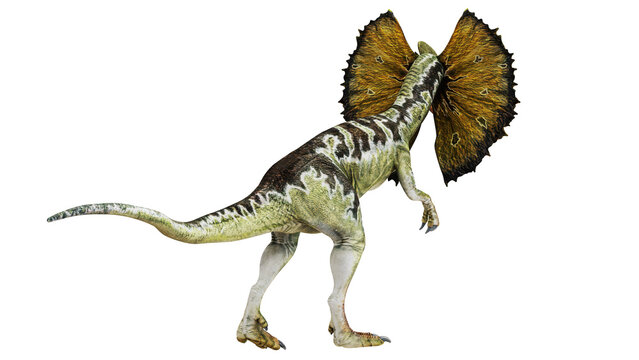 Dilophosaurus with a vibrant frill display.