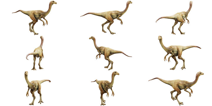 Illustration of dinosaur models on white background