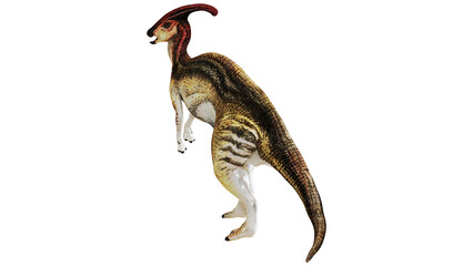 Fototapeta premium Realistic model of a Parasaurolophus dinosaur