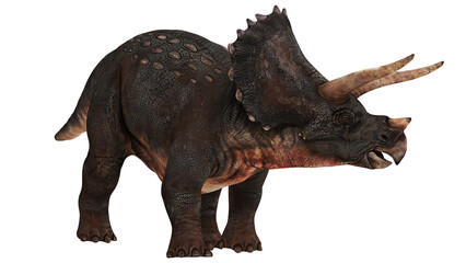 Detailed 3D rendering of a Triceratops dinosaur. © Ilie
