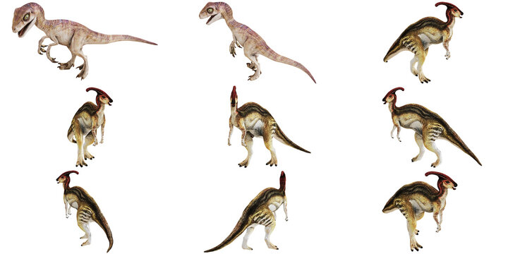 Collection of dinosaur figurines on white background