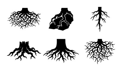 Diverse Tree Root Systems Vector Icons, Organic Growth Patterns, Natural Foundation Elements, Black Silhouette Set © Mahmudul