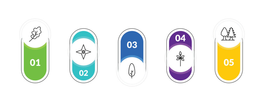 outline nature icons set - oak leaf, gemstone, sprig with five leaves, tree with white foliage. editable vector for web and mobile ui